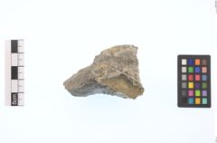 Foto von Gold (NHMW-MIN-Aq655)